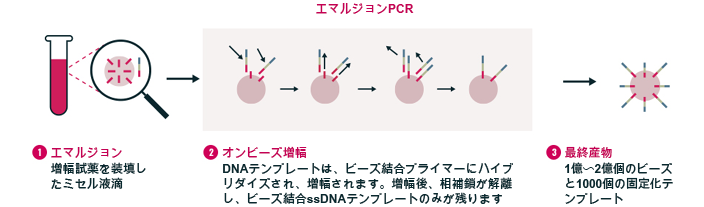 エマルジョンPCR