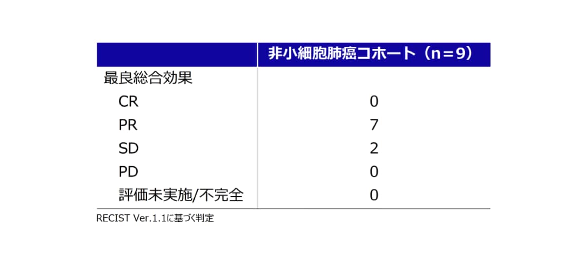 抗腫瘍効果［中間解析（独立評価判定）］