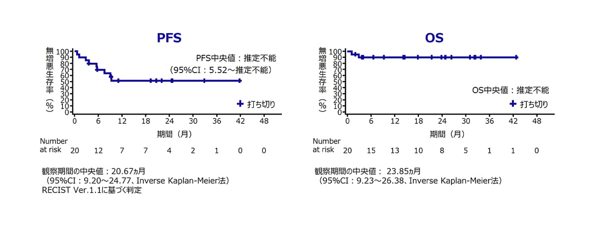 無増悪生存期間（PFS）および全生存期間（OS）［中間解析（治験責任医師判定）］