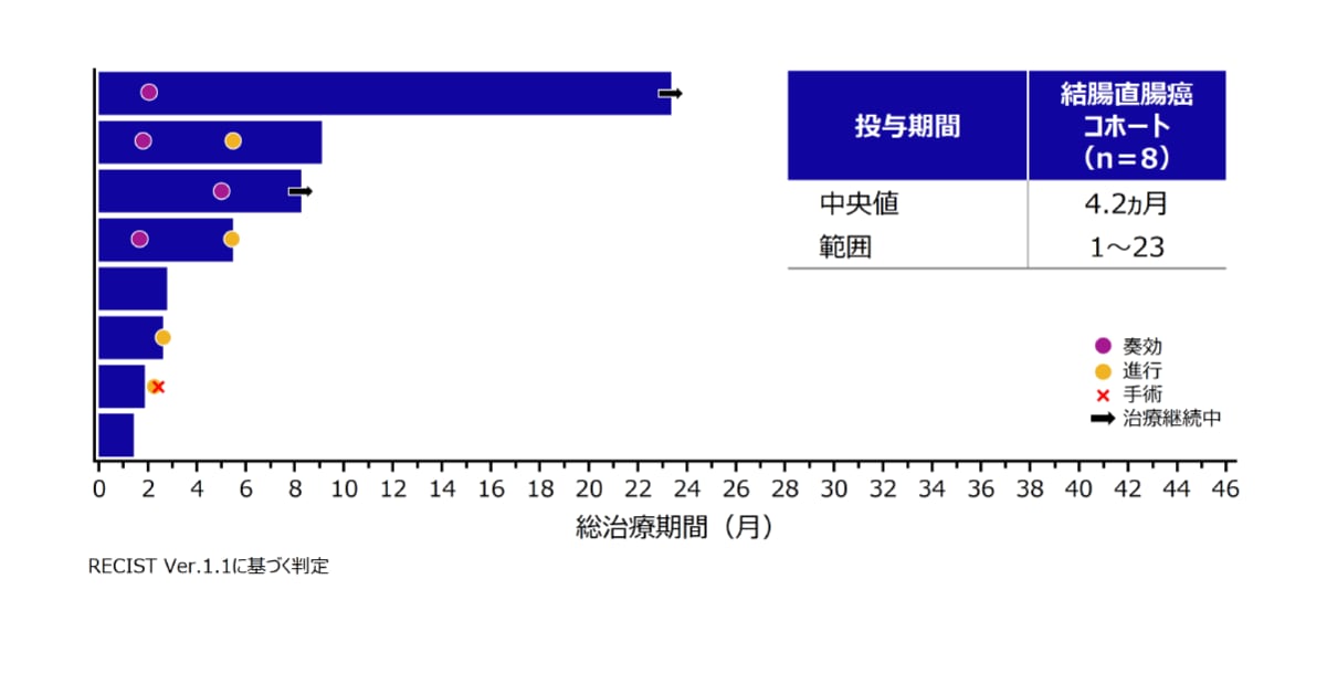 治療期間のSwimmerプロット［中間解析（治験責任医師判定）］