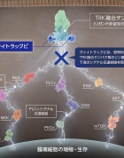 特徴